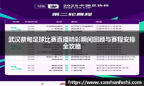 武汉蔡甸足球比赛直播精彩瞬间回顾与赛程安排全攻略